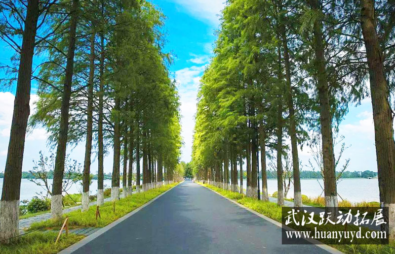 東湖綠道徒步